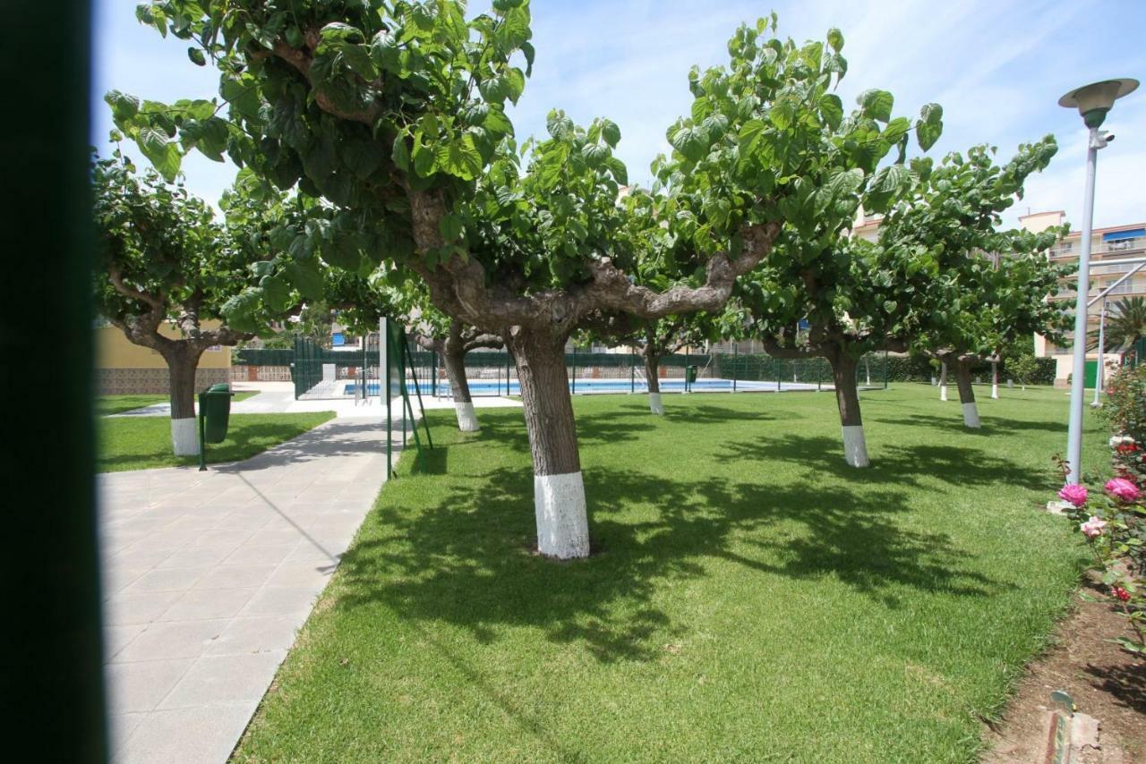 Appartamento Carrer de Victòria dels Àngels, 11 La Pineda Esterno foto